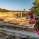 Ancient stone ruins with remnants of columns and walls on a hillside with flowers in the foreground
